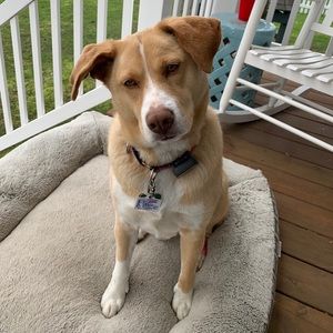 Meet your Posher, Tricia